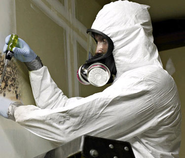 A mold inspector checking mold growth on drywall.